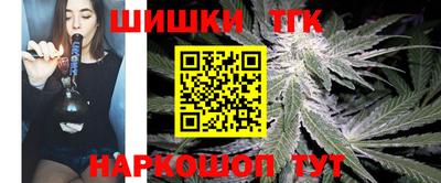хмурый Кингисепп