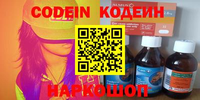 хмурый Кингисепп