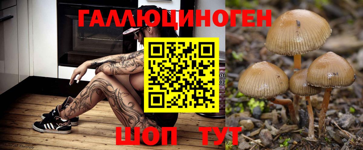 Псилоцибиновые грибы Psilocybe  Псилоцибиновые грибы мицелий  Валуйки  Вход с VPN 